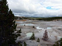 Yellowstone Norris Geyser (120).JPG